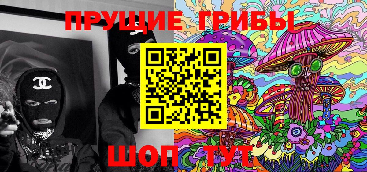 Псилоцибиновые грибы GOLDEN TEACHER Рославль